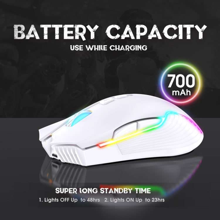 ONIKUMA CW905 2.4G RGB Lighting Wireless Mouse (Grey White) - Wireless Mice by ONIKUMA | Online Shopping UK | buy2fix