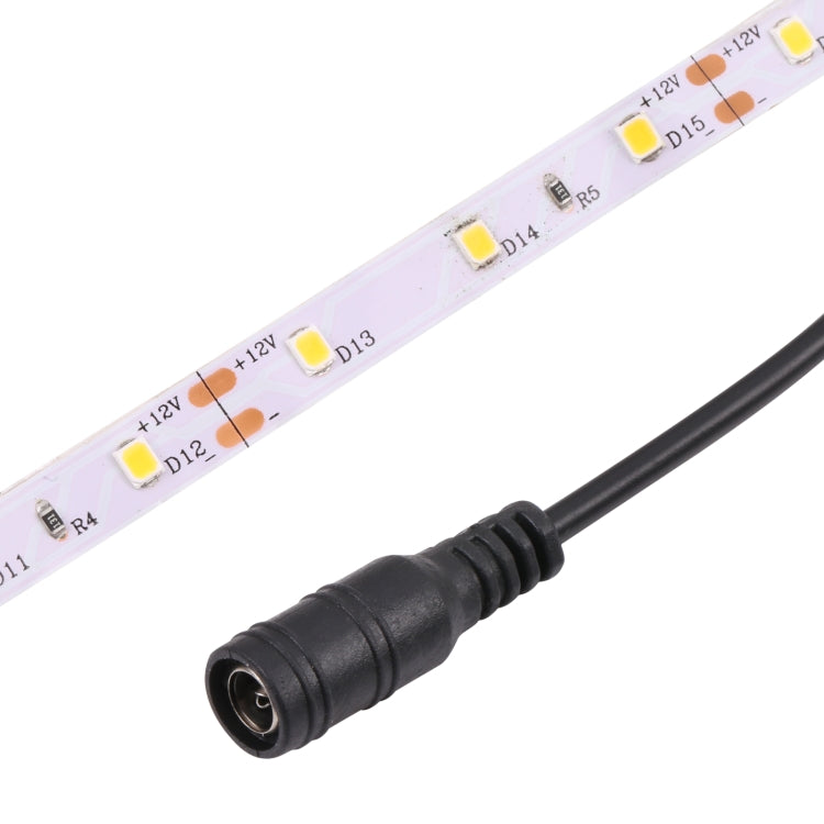 Bare Board 2835 SMD Dimmable White Light / Warm Light LED Rope Light, 60 LED/m, Length: 5m, 12V 2A 100-240V(EU Plug) - Bare Board Light by buy2fix | Online Shopping UK | buy2fix