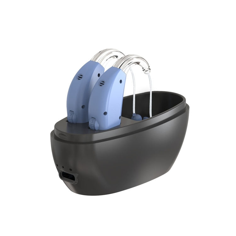 Elderly Use Can Charge Sound Amplifier Hearing Aid, Specification: US Plug(Blue Double Machine+Black Charging Bin) - Hearing Aids by buy2fix | Online Shopping UK | buy2fix