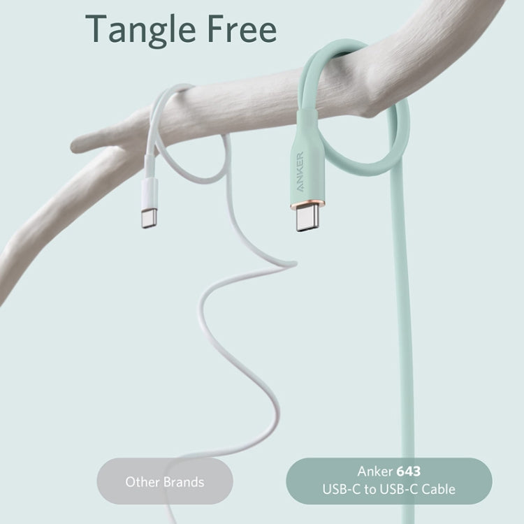 ANKER A8552 Powerline III 0.9m Skin Friendly Dual Type-C Data Cable PD100W Fast Charging Cable(Mint Green) - USB-C & Type-C Cable by ANKER | Online Shopping UK | buy2fix