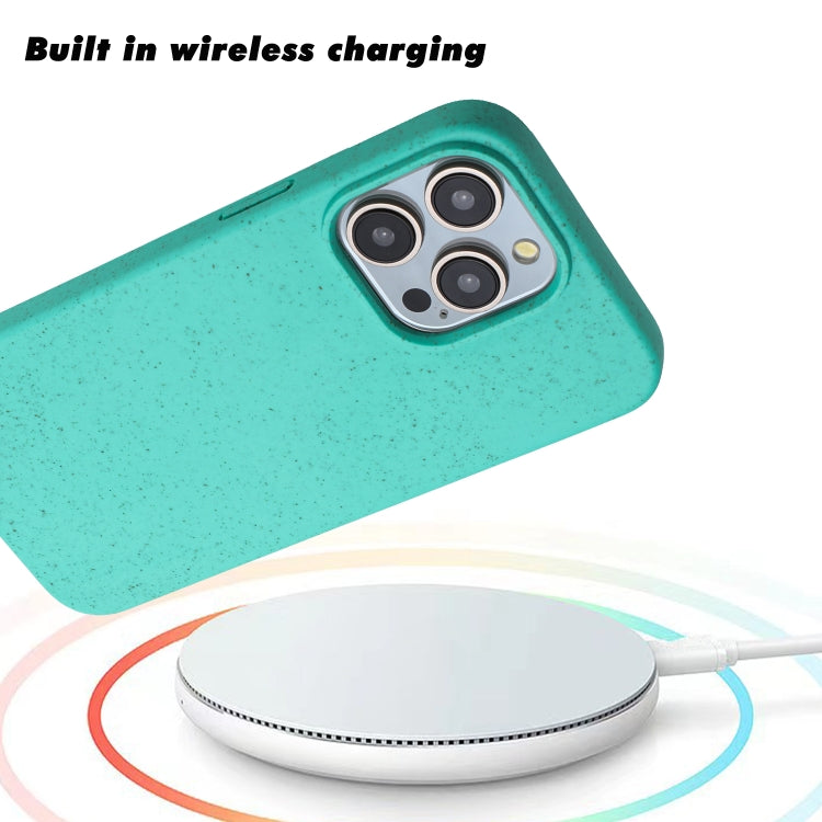 For iPhone 15 Pro Max Wheat MagSafe Magnetic Straw Material + TPU Phone Case(Green) - iPhone 15 Pro Max Cases by buy2fix | Online Shopping UK | buy2fix