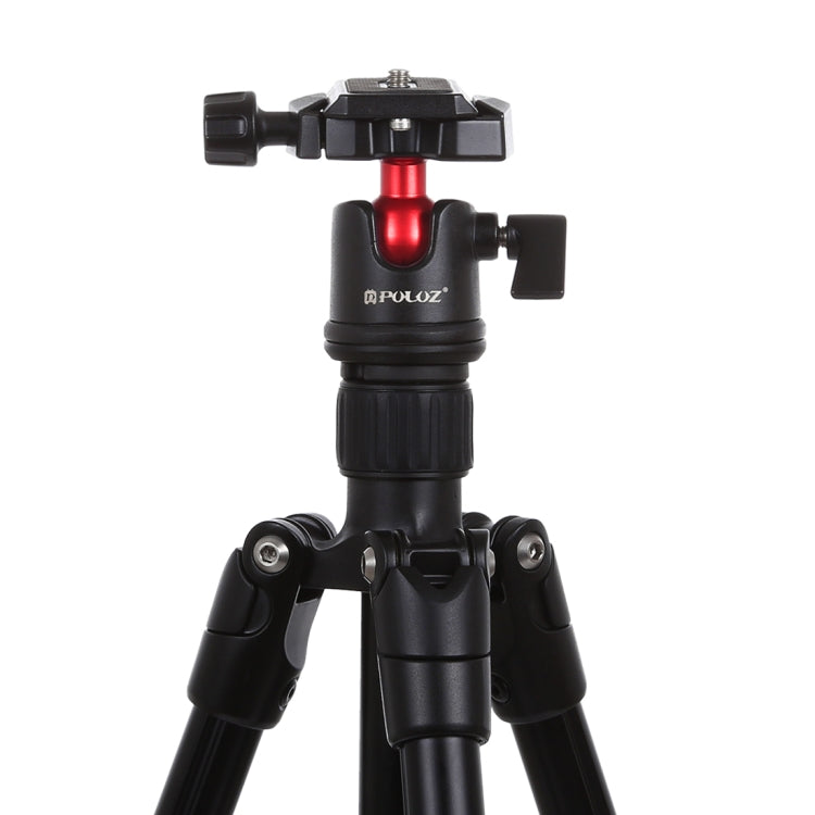 PULUZ 360 Degree Rotation Panoramic Metal Ball Head with Quick Release Plate for DSLR & Digital Cameras(Black) - Tripod Heads by PULUZ | Online Shopping UK | buy2fix