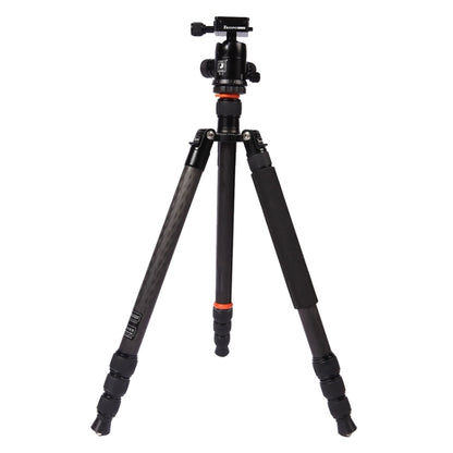 Triopo GT-2804X8.C Adjustable Portable Carbon Fiber Tripod with B-2 Aluminum Ball Head for Canon Nikon Sony DSLR Camera(Black) - Tripods by TRIOPO | Online Shopping UK | buy2fix