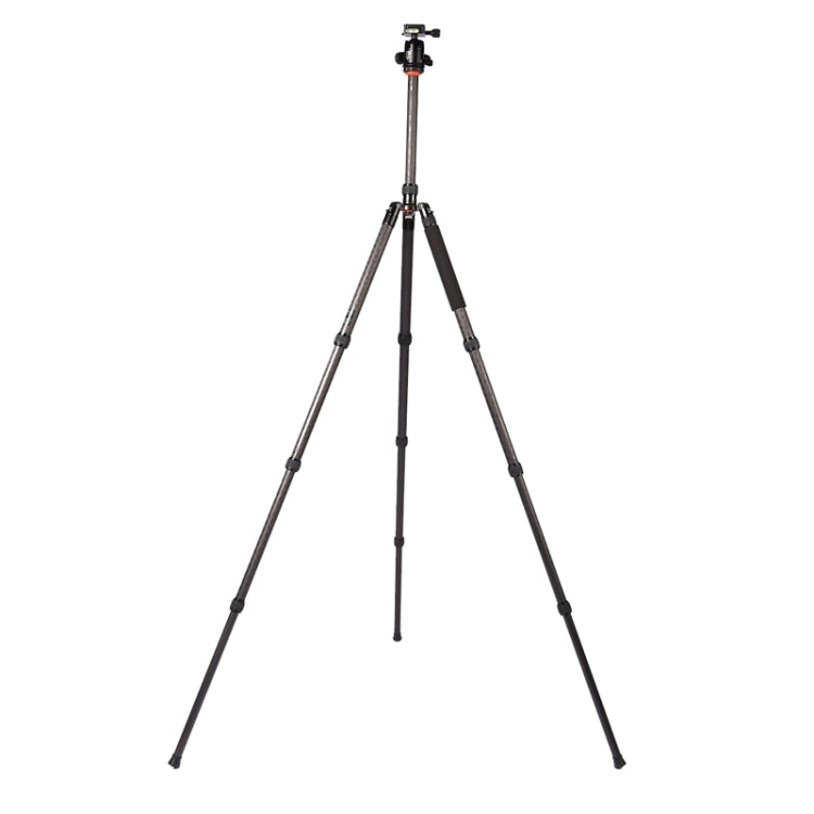 Triopo GT-2804X8.C Adjustable Portable Carbon Fiber Tripod (Gold) with B-2 Aluminum Ball Head (Black) for Canon Nikon Sony DSLR Camera - Tripods by TRIOPO | Online Shopping UK | buy2fix