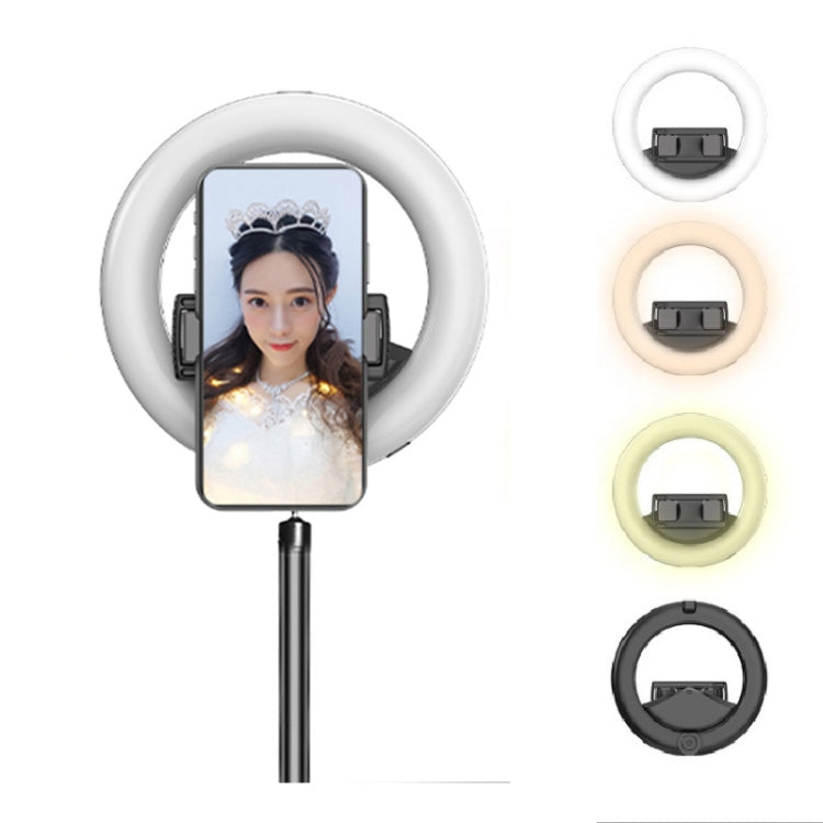 CYKE Q6 Selfie Live Broadcast Ring Beautifying Light(Fill Light) - Ring Light by CYKE | Online Shopping UK | buy2fix