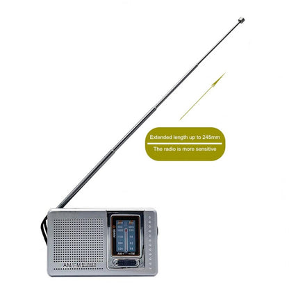 INDIN BC-R2011 AM FM Radio Pocket Mini Wide Reception Telescopic Antenna Radio(Silver Gray) - Radio Player by INDIN | Online Shopping UK | buy2fix