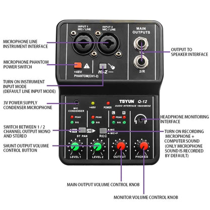 TEYUN Q-12 Computer Recording Sound Card USB Drive-free Recording Arranger(Black) - Consumer Electronics by TEYUN | Online Shopping UK | buy2fix